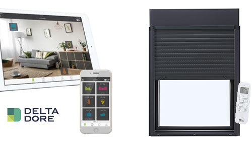 Delta Dore moteur volet roulant